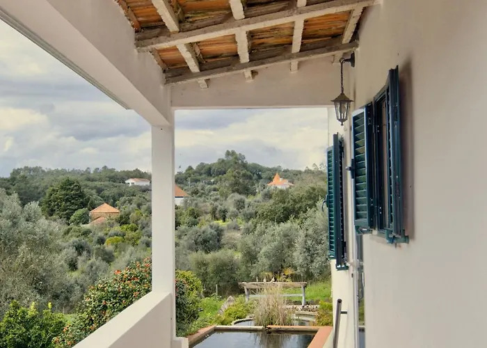 Breakfast Under A Tree - And *