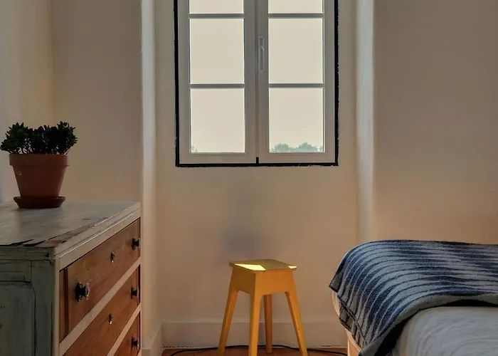 Breakfast Under A Tree - And * Tomar