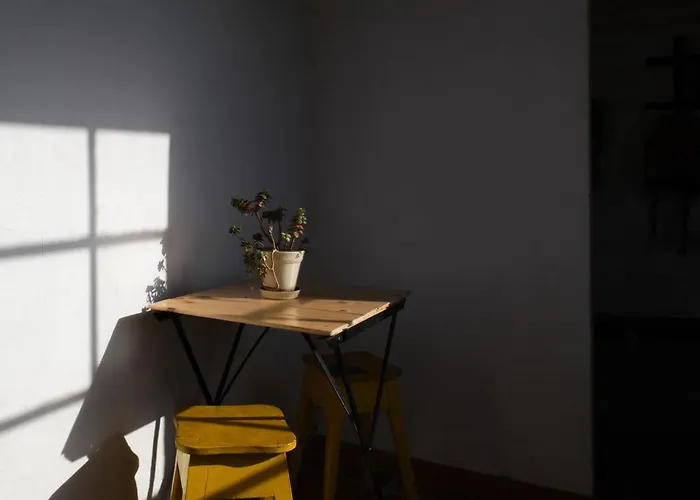 Breakfast Under A Tree - And