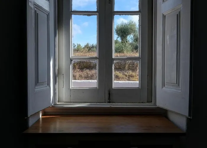 Breakfast Under A Tree - And