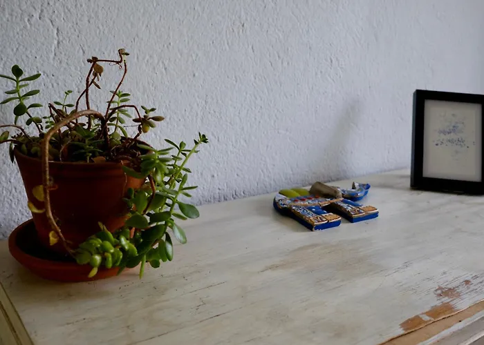 Breakfast Under A Tree - And