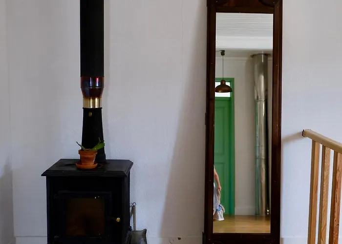 Apartamento Breakfast Under A Tree - And Tomar