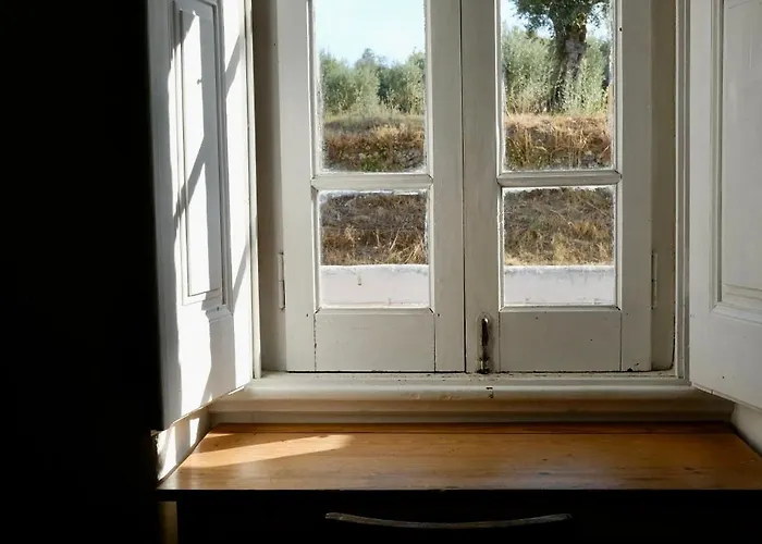 Breakfast Under A Tree - And Διαμέρισμα Tomar